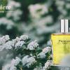 Ini Aroma Parfum yang Paling Disukai Orang Indonesia